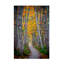 Art mural sur toile tendue - Rick Berk «Jesup Path II», art mural pour salon, chambre à coucher ou bureau - 30 x 47