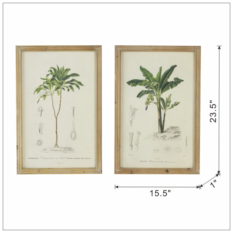 S/2 Tree Framed Print