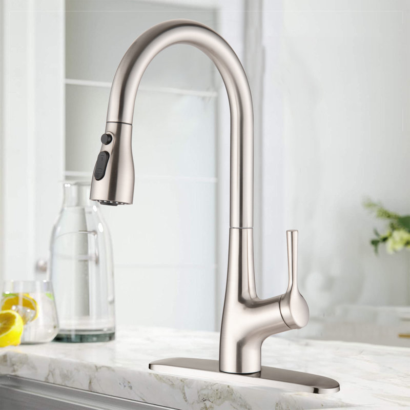 ESHOO Pull Out Kitchen Faucet