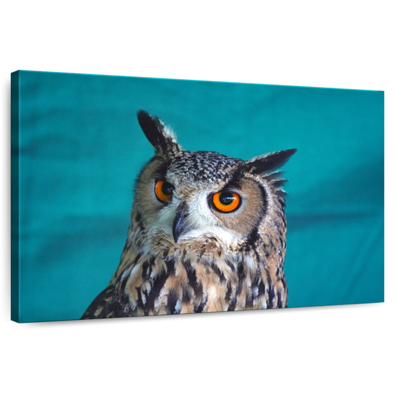 Brampt Charming Tiger Owl, 30" H x 45" W