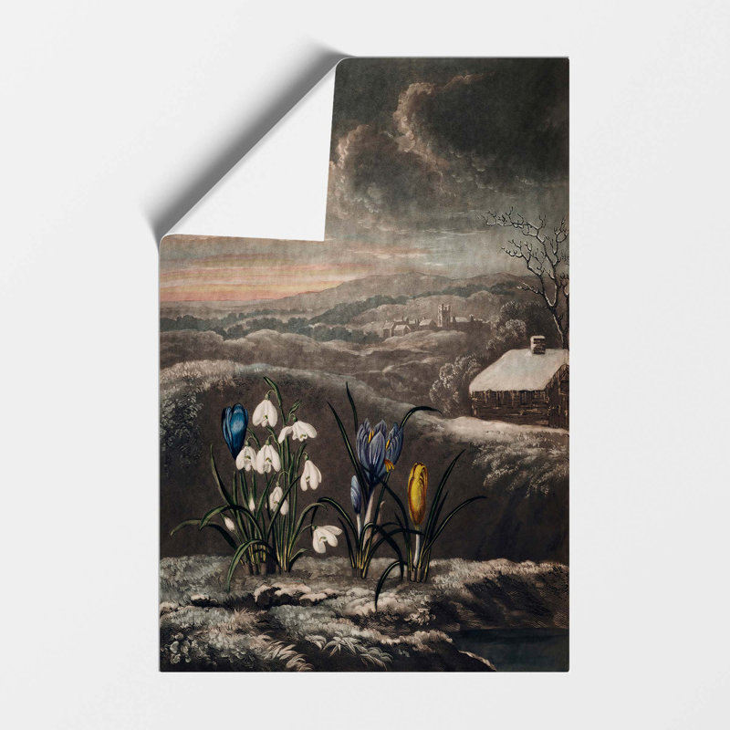 The Snowdrop Flowers by R.J. Thornton - No Frame Painting, 42 cm H x 29.7 cm W