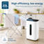 Nyxi 20L Per Day Dehumidifier with WiFi App and Voice Control