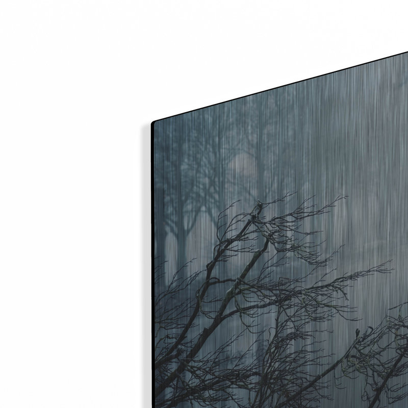 Art mural en métal luxueux «The Last Dance» par Martin Podt, 16 po x 12 po, H 12 po x l 16 po