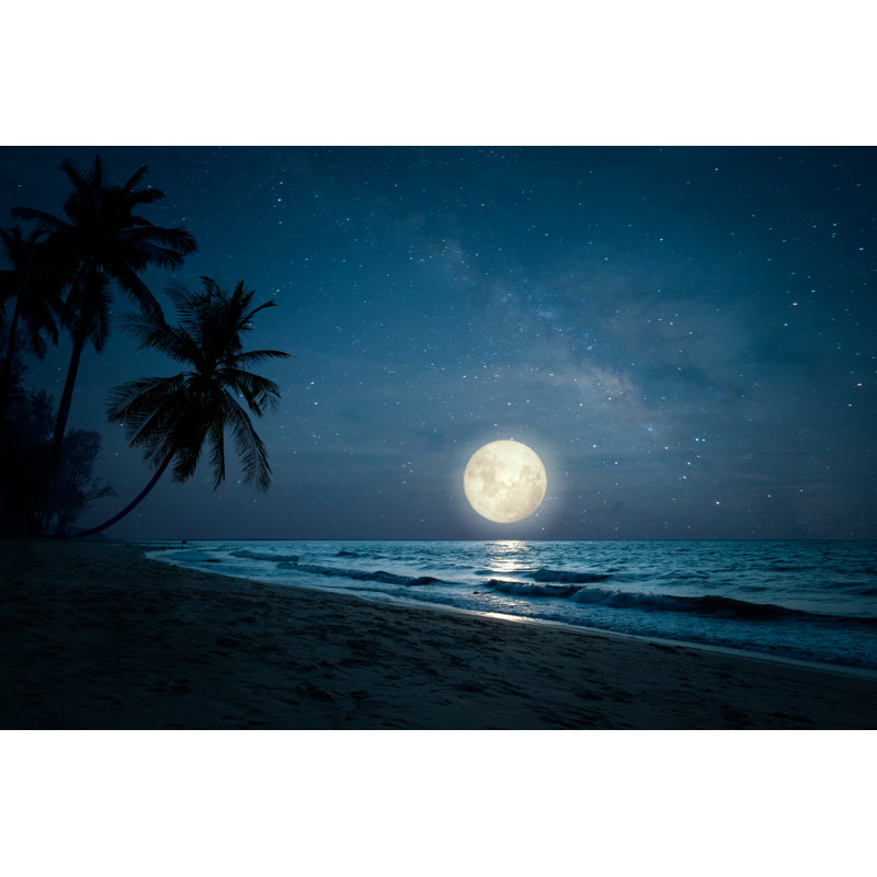 Night Skies - Photographie sur toile tendue, H 32 po x l 48 po
