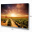 «Vineyard with Stormy Sunset», reproduction de photo sur toile tendue-18267914-33288025