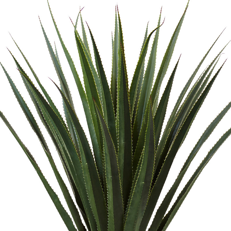 60'' Faux Agave Succulent in Stone Planter