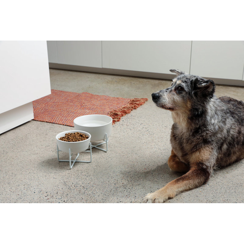 Simple Solid Bowl & Dog Bowl Stand, White, Medium (4 cups / 32 fl. oz.)