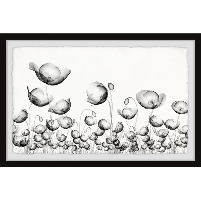 Poppy Fields - Single Picture Frame Painting, 38cm H x 45cm W x 3.81cm D
