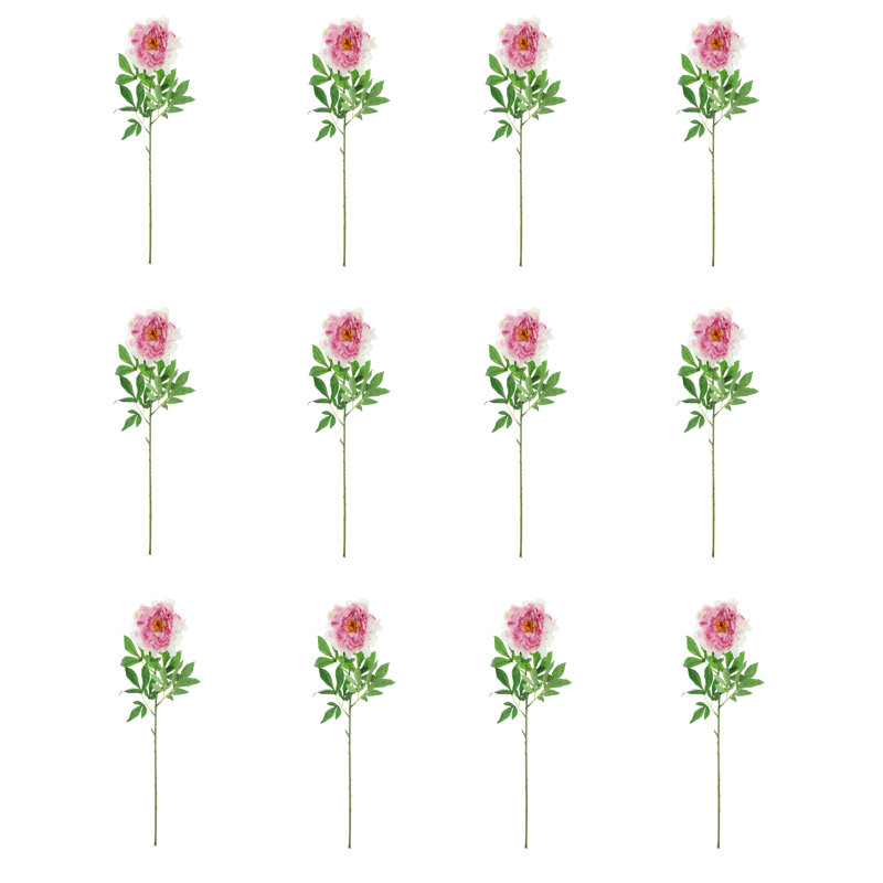 Fausse tige de pivoine