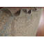 Tapis traditionnel 8 x 11