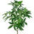 4'' Faux Money Tree Tree in Pot