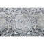 Oriental Area Rug in Blue/Gray/Ivory-1242823344