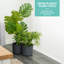 Aben Pot Planter-1836459498