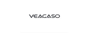 Logo VEAGASO