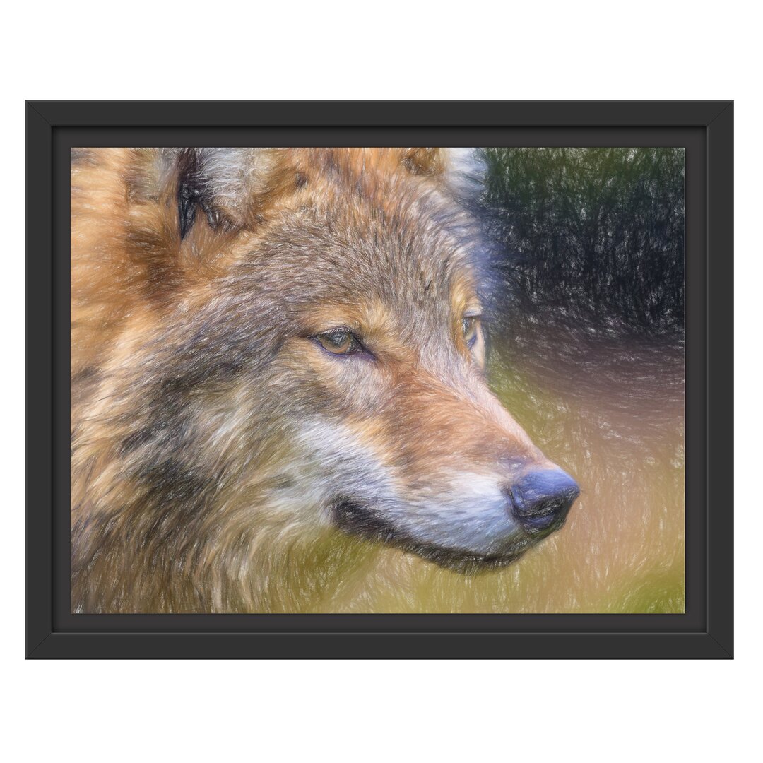 Gerahmtes Wandbild Porträt des europäischen Wolfes