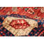 Aryana Wool Oriental Area Rug