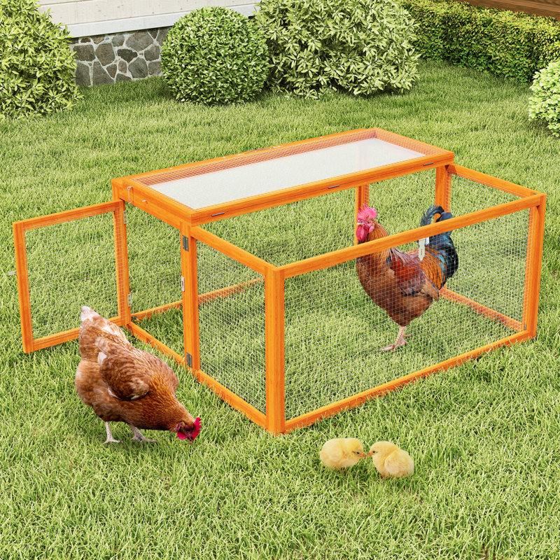 Poulailler portatif Coaxum, panneau solaire verrouillable, Orange