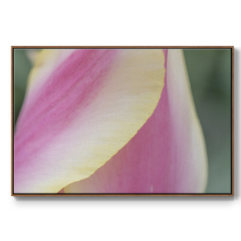 " Delicate ", Walnut Floater Framed Canvas, 17" H x 25" W x 2" D