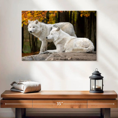 A Pair Of Arctic Wolves