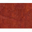 Paradise Floral Area Rug in Orange/Red-45410680