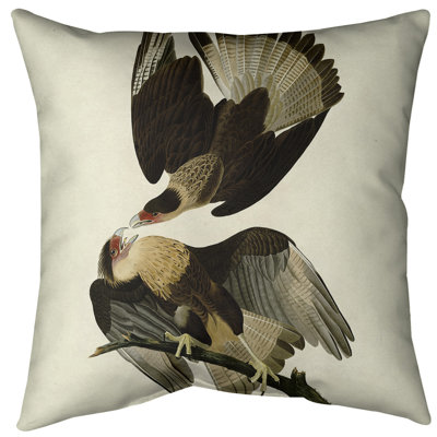 Insert de coussin décoratif brasilian caracara eagle