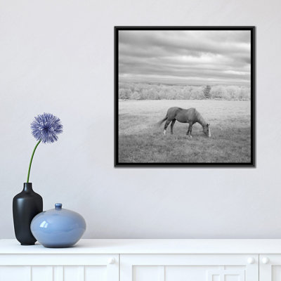 Chip Forelli " Lone Horse " by Chip Forelli