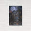 " Ebony " by Graeme Stevenson-1148043047