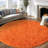 Orange Round Shag Rug Non-Slip Long-Pile Round Rug 5 ft Silk-Blend Rug Round Shag Rug Perfect for Teen Rooms Ideal for Bedrooms Great for Living Rooms Antibacterial Durable Material-555472336-560752771