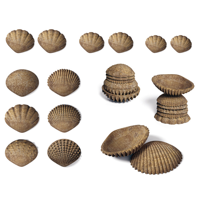 Coquilles tactiles écologiques