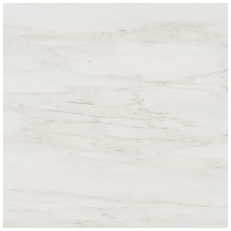 Dreamstone 24X24 Matte Porcelain Tile, Dolomite Snow Matte