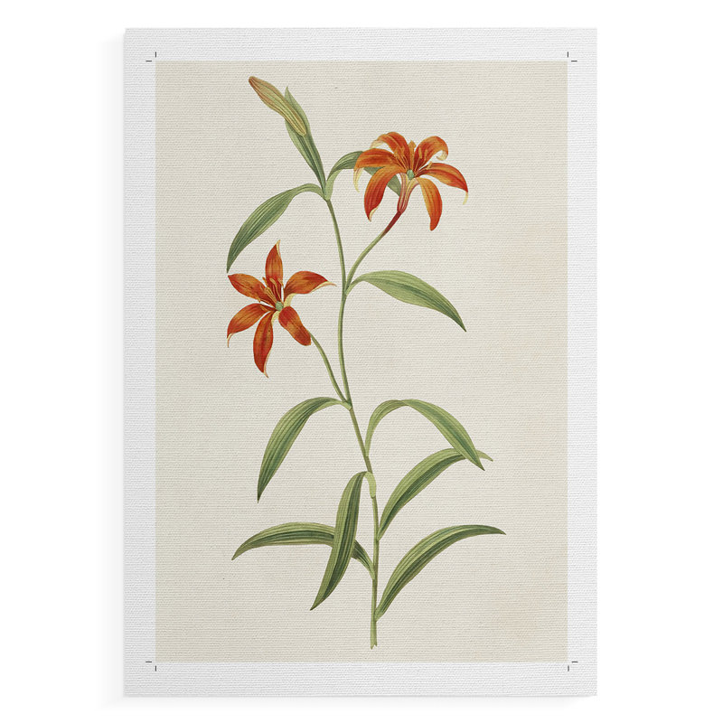Fleurs des saisons III - Impression sur toile seulement - NON-CADRE, H 18 po x l 12 po