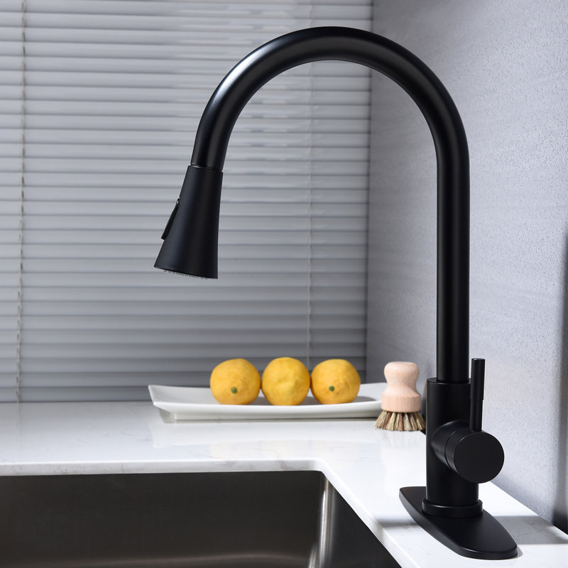 Robinet de cuisine noir mat avec douchette extractible, acier inoxydable, couche de corrosion, poignée simple pour le traitement de l'eau, débit