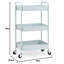 79cm H x 44cm W Utility Cart-430279275