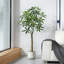 Adcock Artificial Ficus Tree with Round White Planter, Pre Potted Faux Money Tree for Home Decor-298643296