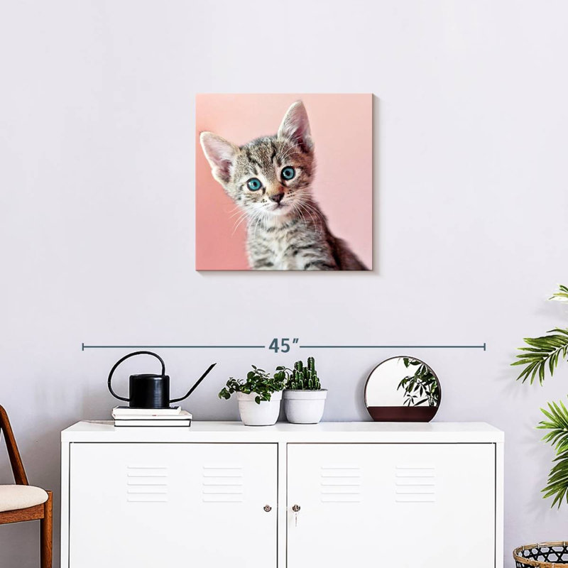Crowle Staring Cat, 20" H x 20" W
