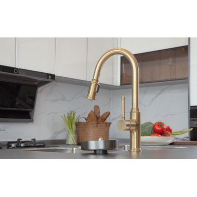 Pull Down Single Handle Kitchen Faucet with Accessories