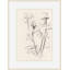 Hellebore Study 1 Print-1514875003
