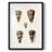 Kegley -Gallery Wrapped Canvas-370053263-370053249