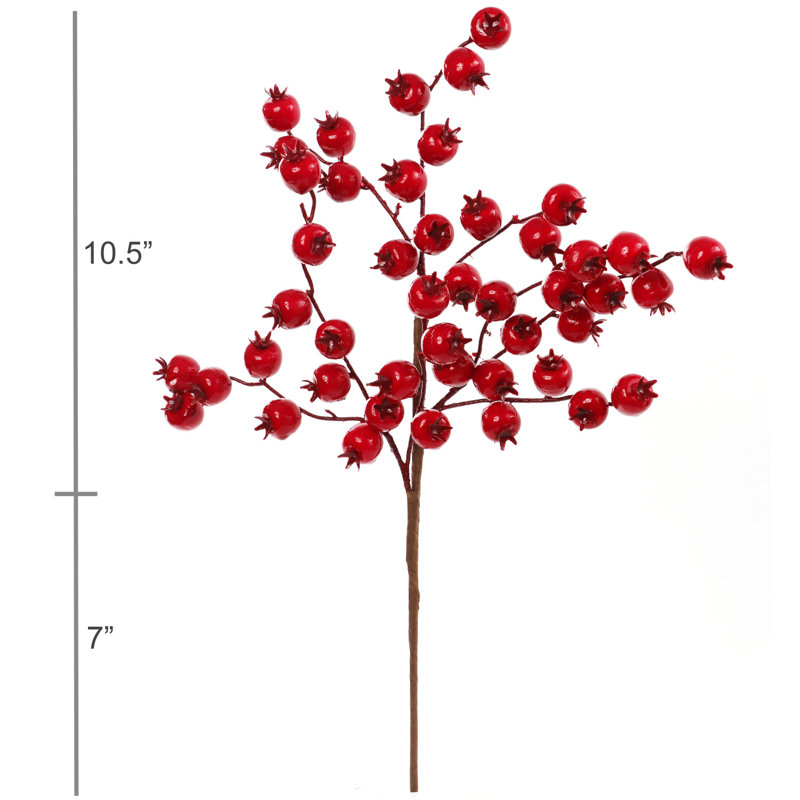 Ensemble de 6 aubépines