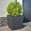 Raice Planter Box-2052166975-2052166970