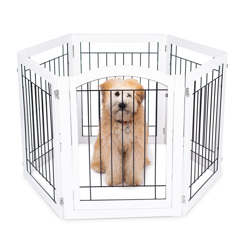BIRDROCK HOME 6-Panel Extra Wide Pet Gate with Door - 30” Tall Wooden Freestanding Dog Gate for Stairs, Hallways, Doorways, and Porch - Foldable Indoor Pet Fence for Dogs and Puppies (White Finish)