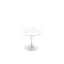 Planet Fixed Tables-2122470117