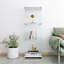 Display Cabinet-596936731