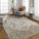 Hoeft Oriental Indoor Rug