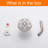 Fixed Shower Head 1.75 GPM-66970107