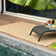 Nature Collection Argyle Indoor / Outdoor Area Rug