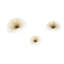 Seamon Glam Abstract Wall Decor on Metal