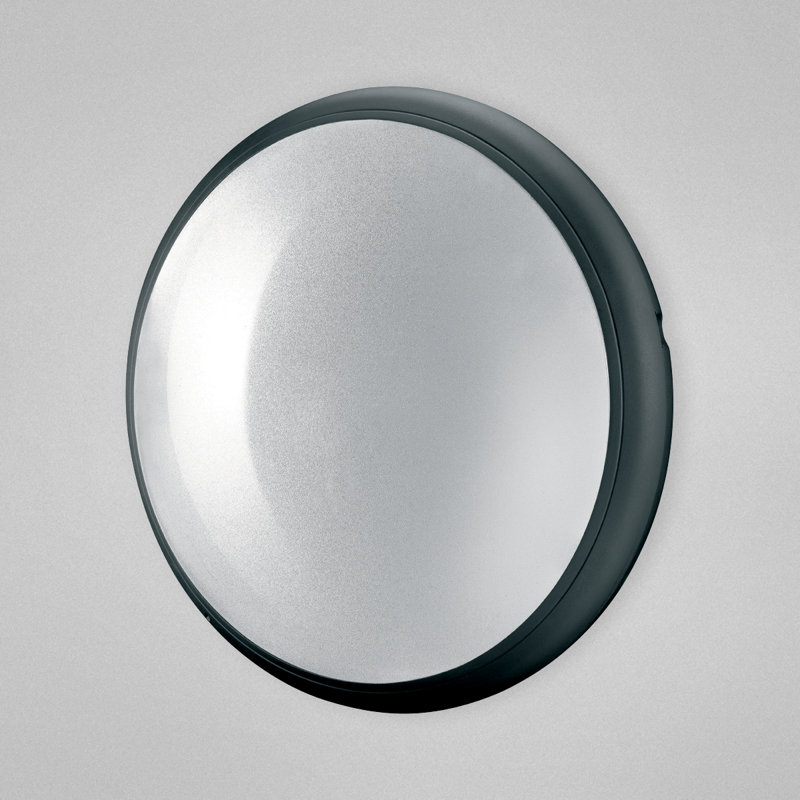 Wall Light, Black, 13" H x 13" W