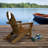Galaviz Outdoor Adirondack Chair-27337716