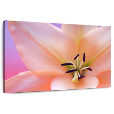 Harnek Pink Lily Flower